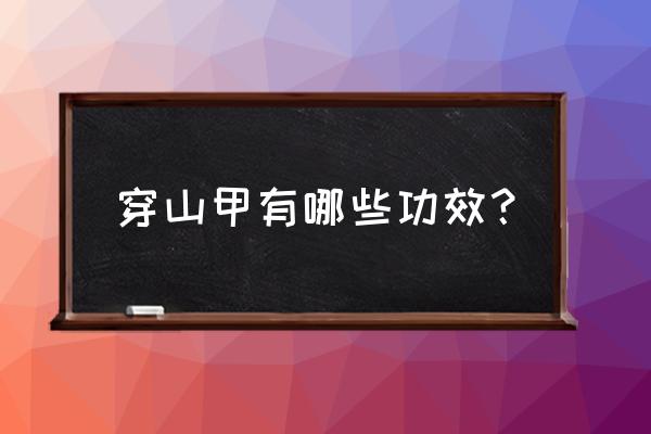 穿山甲粉又叫什么 穿山甲有哪些功效？