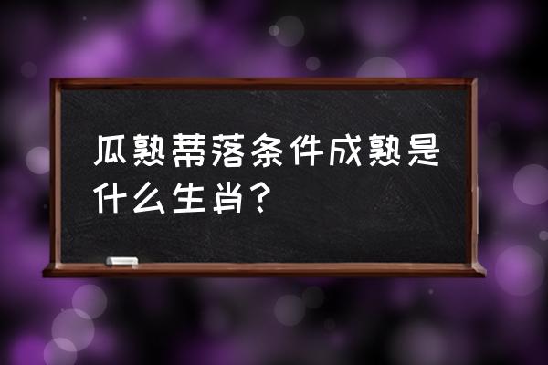 瓜熟蒂落后面一句是什么 瓜熟蒂落条件成熟是什么生肖？