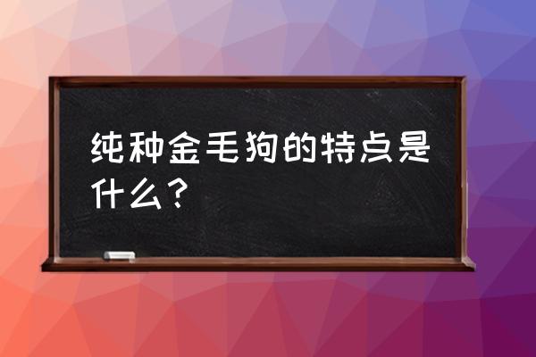 纯种金毛的特点 纯种金毛狗的特点是什么？