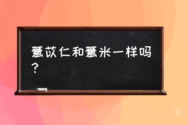 生薏苡仁是不是薏米 薏苡仁和薏米一样吗？