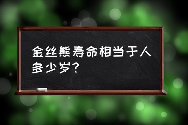 金丝熊寿命相当于人多少岁 金丝熊寿命相当于人多少岁？