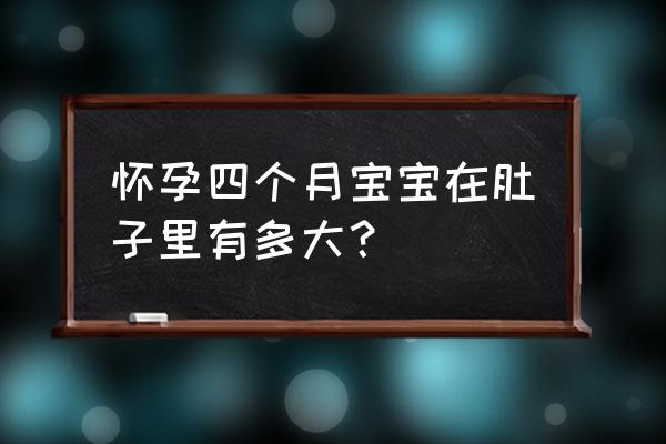 四个月胎儿大小数据 怀孕四个月宝宝在肚子里有多大？