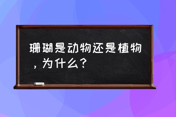 珊瑚是不是生物 珊瑚是动物还是植物，为什么？