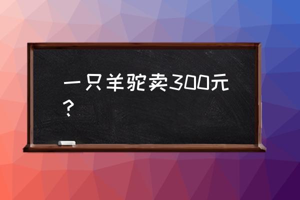 羊驼大概多少钱一只 一只羊驼卖300元？