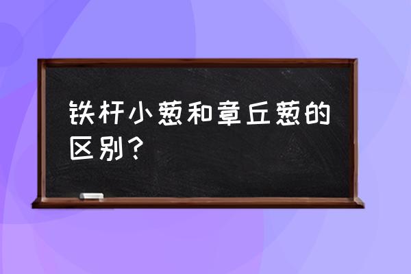 铁杆大葱和章丘大葱的区别 铁杆小葱和章丘葱的区别？