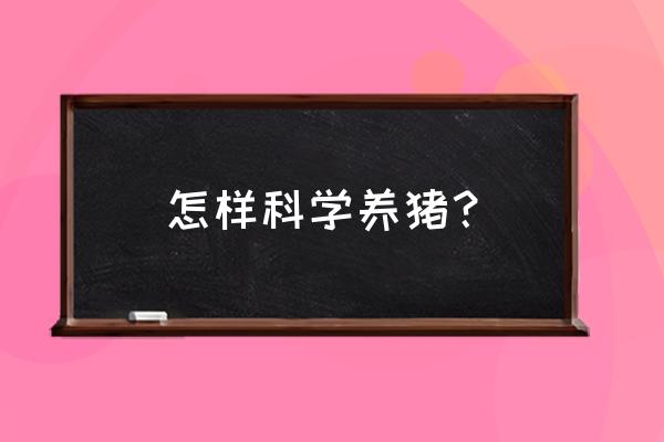 科学养猪新技术 怎样科学养猪？