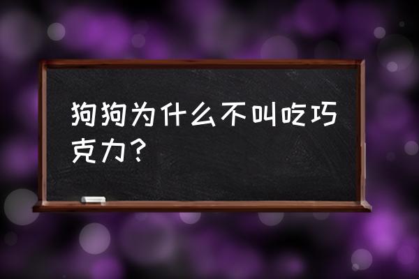 狗狗为什么不能吃巧克力呢 狗狗为什么不叫吃巧克力？