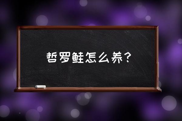 哲罗鲑鱼罗 哲罗鲑怎么养？