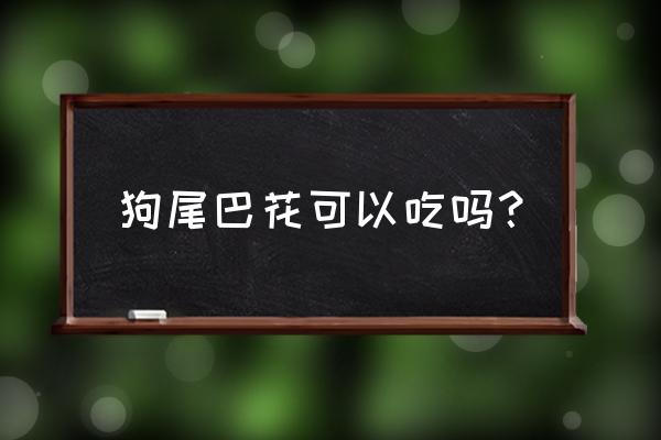 狗尾巴花学名叫啥 狗尾巴花可以吃吗？