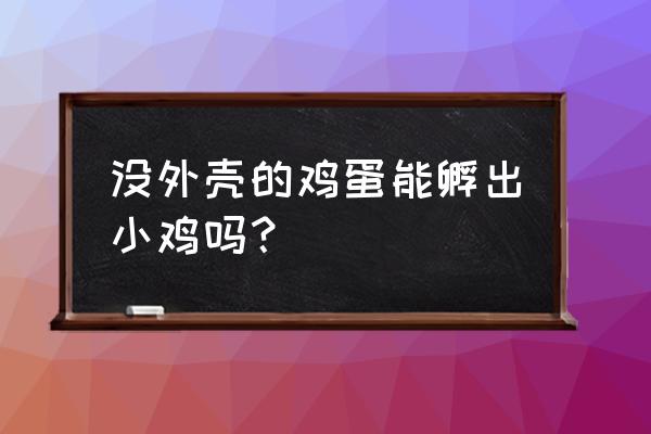 无壳孵小鸡 没外壳的鸡蛋能孵出小鸡吗？