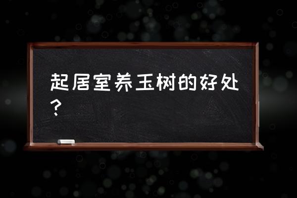 家里养玉树有什么寓意 起居室养玉树的好处？