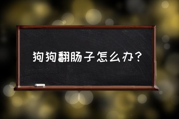 狗狗翻肠子的表现 狗狗翻肠子怎么办？