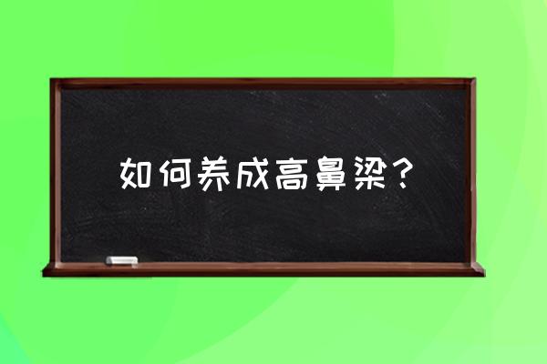 怎么让鼻梁变高变挺 如何养成高鼻梁？