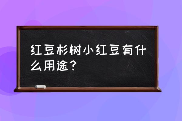 红豆沙树苗吃了有什么着用 红豆杉树小红豆有什么用途？