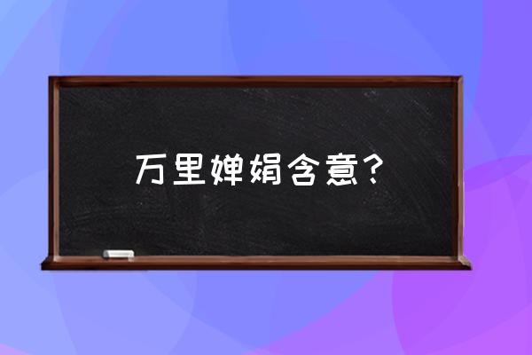 千里婵娟是什么意思 万里婵娟含意？