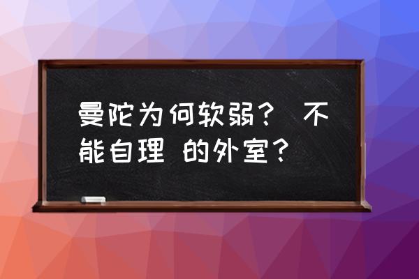 spank曼陀 曼陀为何软弱？ 不能自理 的外室？