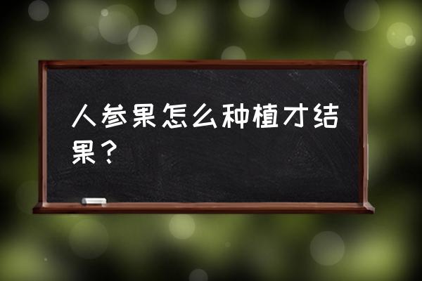 人参果树怎么种植才会有果 人参果怎么种植才结果？