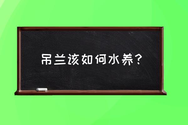 自制水培吊兰固定 吊兰该如何水养？