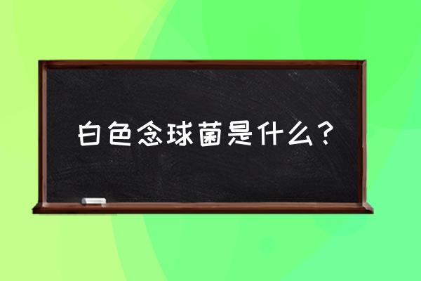 白色链球菌是真菌吗 白色念球菌是什么？