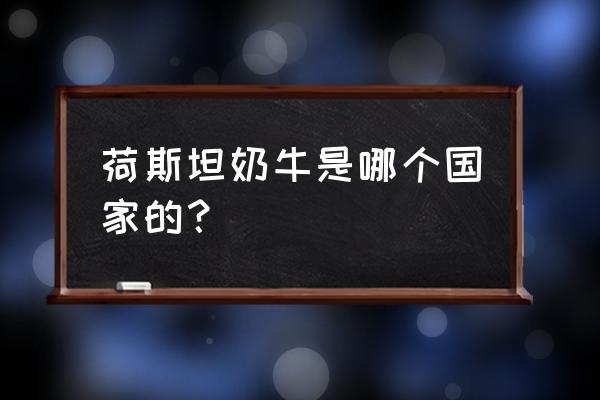 荷斯坦奶牛简介 荷斯坦奶牛是哪个国家的？