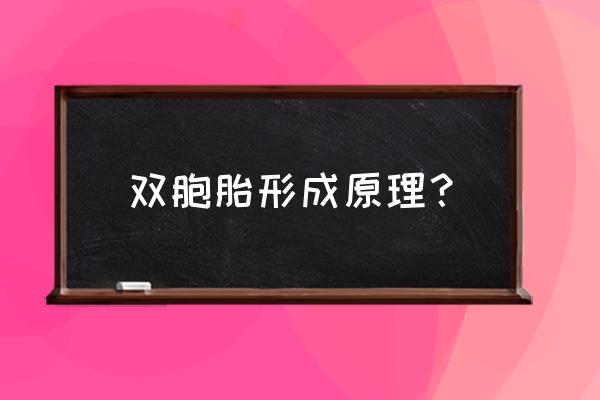 什么原因怀上同卵双胞胎的 双胞胎形成原理？