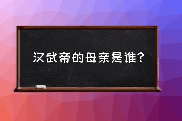 汉武帝的母亲是谁？ 汉武帝的母亲是谁？