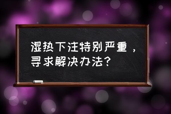 四妙丸的组成配方 湿热下注特别严重，寻求解决办法？