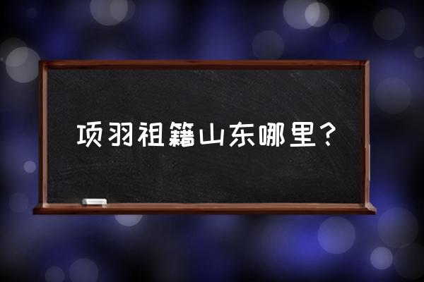 项羽祖籍山东哪里？ 项羽祖籍山东哪里？