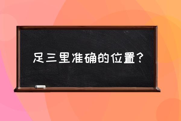 足三里准确的位置？ 足三里准确的位置？