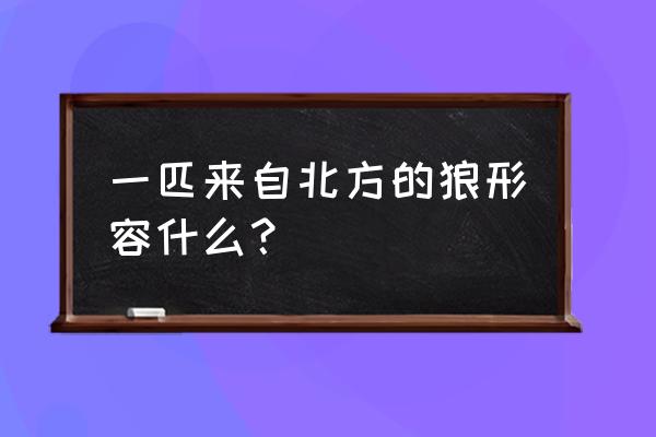 一匹来自北方的狼形容什么？ 一匹来自北方的狼形容什么？