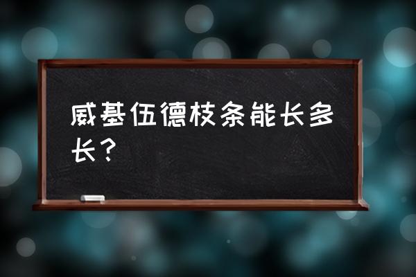 威基伍德枝条能长多长？ 威基伍德枝条能长多长？