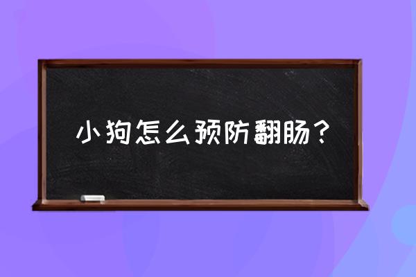 小狗怎么预防翻肠？ 小狗怎么预防翻肠？