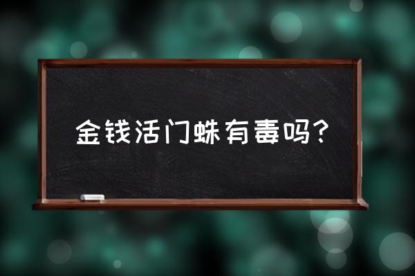 金钱活门蛛有毒吗？ 金钱活门蛛有毒吗？