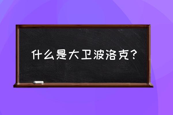 什么是大卫波洛克？ 什么是大卫波洛克？