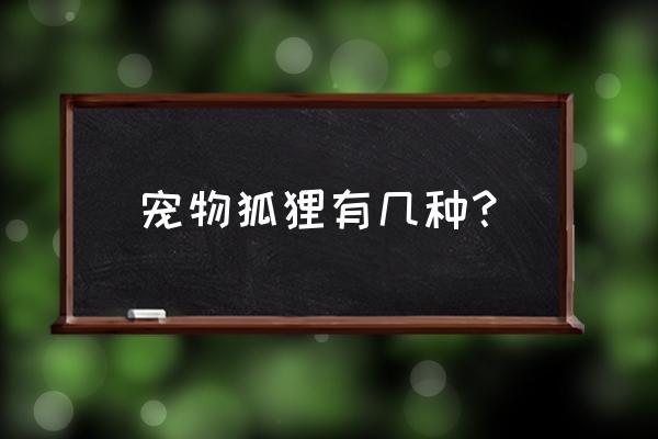 宠物狐狸有几种？ 宠物狐狸有几种？