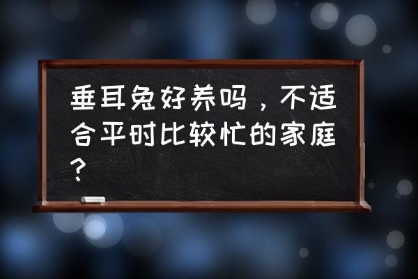 垂耳兔好养吗，不适合平时比较忙的家庭？ 垂耳兔好养吗，不适合平时比较忙的家庭？