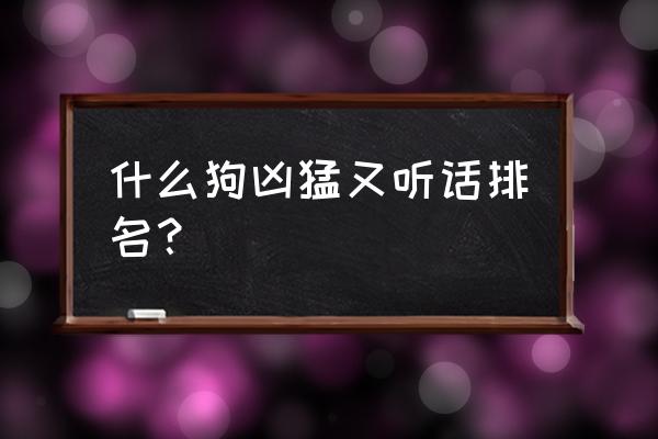 什么狗凶猛又听话排名？ 什么狗凶猛又听话排名？