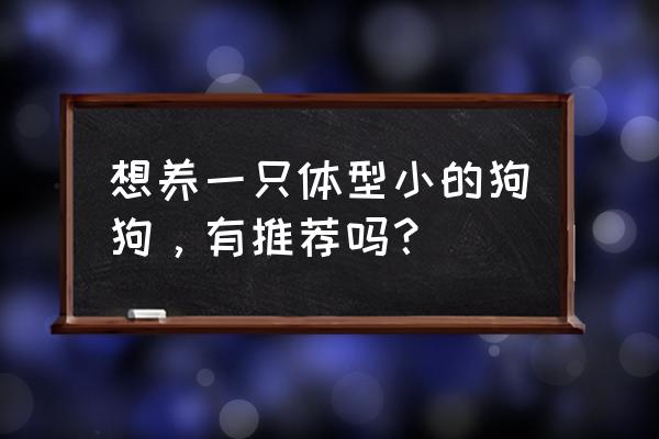 想养一只体型小的狗狗，有推荐吗？ 想养一只体型小的狗狗，有推荐吗？