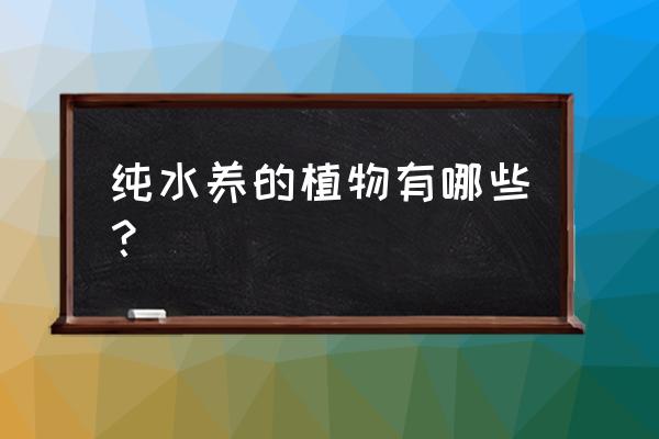 纯水养的植物有哪些？ 纯水养的植物有哪些？