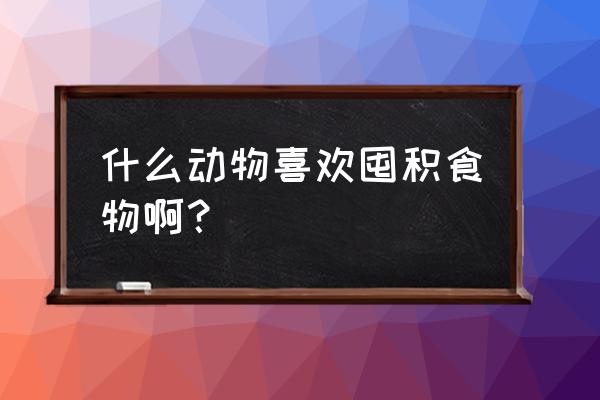 什么动物喜欢囤积食物啊？ 什么动物喜欢囤积食物啊？