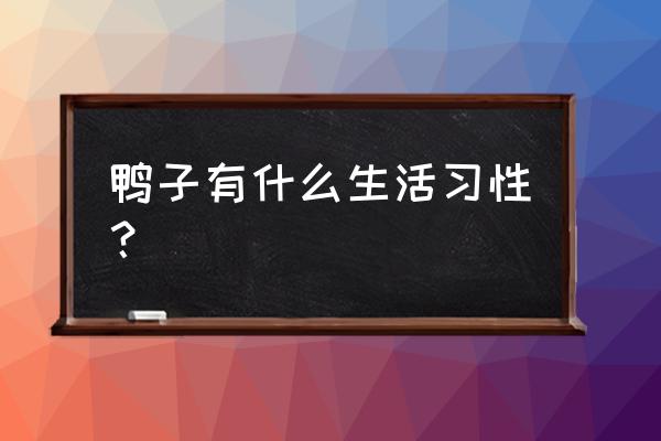 鸭子有什么生活习性？ 鸭子有什么生活习性？