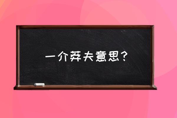 一介莽夫意思？ 一介莽夫意思？