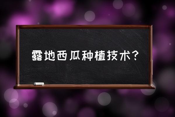 露地西瓜种植技术？ 露地西瓜种植技术？