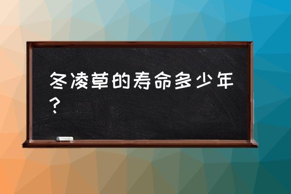 冬凌草的寿命多少年？ 冬凌草的寿命多少年？