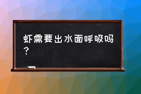 虾需要出水面呼吸吗？ 虾需要出水面呼吸吗？