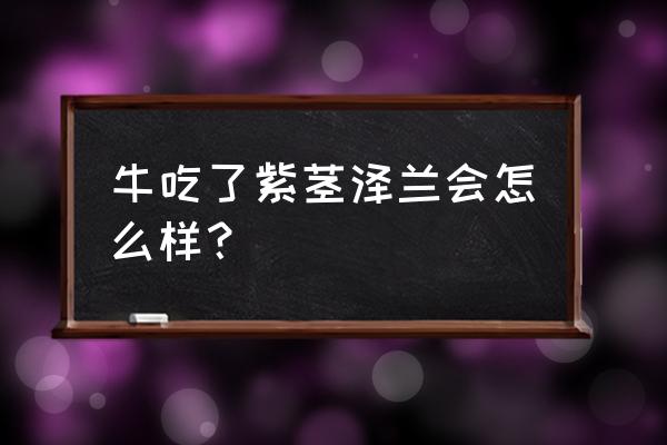 牛吃了紫茎泽兰会怎么样？ 牛吃了紫茎泽兰会怎么样？