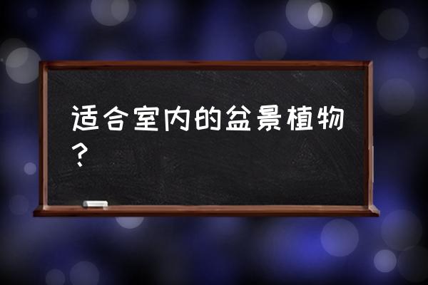 适合室内的盆景植物？ 适合室内的盆景植物？