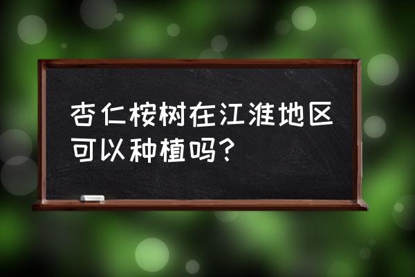 杏仁桉树长多快 杏仁桉树在江淮地区可以种植吗？