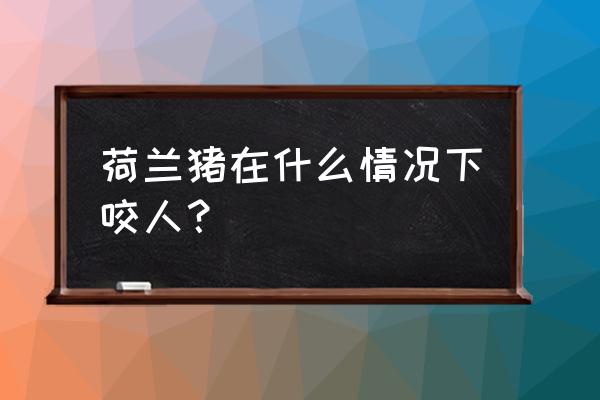 荷兰猪咬人吗可以摸她吗 荷兰猪在什么情况下咬人？