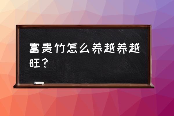 富贵竹如何养才最茂盛 富贵竹怎么养越养越旺？